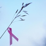 Rakovina prsu aneb co víte o nejčastějším vážném onemocnění žen